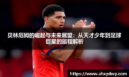 万博max中国官方网站